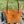 Lisa Tote