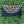 Wristlets